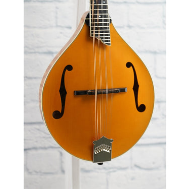 Collings MT2 NAMM Custom Mandolin
