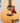 (Used) Taylor GS Mini