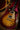 Electric Guitars