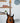 (Used) Tom Anderson Li'l Angel Hollow