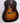 Gibson J-45 Special