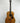 Taylor Gold Label 517e