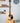 Martin X Series, 00-14 Fret- Cocobolo