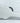 Hoffee Dreadnaught Flight Case- White