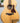 Taylor A12E - Academy