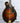 Ellis F5 Special- Bella Inlay