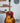 Gibson J-45 Studio Rosewood- Gloss Top- Rosewood Burst