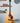 Collings OM3 Custom Craft Camphor Laurel