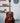 Fender CD-60S - Mahogany