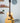 Waterloo WL-14 Scissortail- Natural