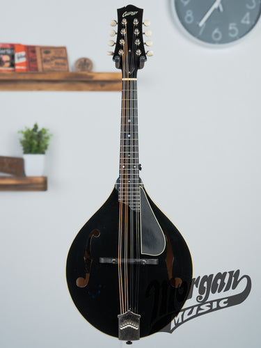 (Used) Collings MT Mandolin- Black Top
