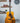 (Used) Yamaha FGX5GL Red Label