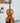 (Used) Roth Violin V11-2