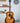 Taylor Gold Label 817e- Sunburst
