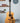 (Used) Taylor Gold Label 517e