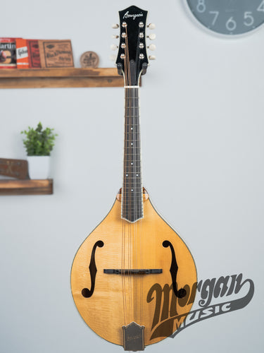 (Mint) Bourgeois M5A Aged Tone Mandolin