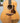 (Used) Taylor Gold Label 517e