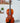 (Used) Roth Violin 120R