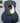Martin 00L-16E- Blue Denim
