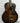 Vintage Richter Archtop- 1930's