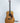 (Used) Bourgeois Aged Tone D- Brazilian Rosewood