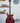 PRS Custom 24-08 Wood Library -10 Top