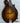 Collings MF Deluxe Mandolin