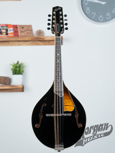 Northfield  A5 Special- Black Top
