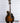 Red Diamond F5- Vintage '22 Voicing