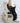 PRS SE NF53 White Doghair