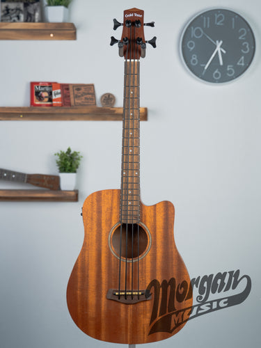 Gold Tone Fretted Acoustic-Electric MicroBass