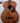 Ibanez PCB54E Acoustic Bass- Natural