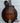 The Loar LM-310F Honey Creek F-Style Mandolin