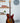 Tom Anderson Top T Classic Contoured- Tiger Eye Burst