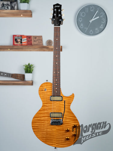 (Used) Collings 360