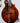 (Used) Eastman MD515