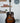 (Used) Gibson Dove- Custom- Dark Burst 1979