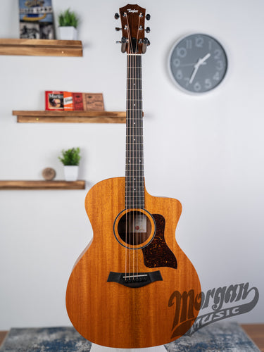 Taylor 24ce