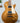 Gibson Les Paul Standard '50s- Gold Top