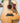 Gibson Custom Shop - Doves In Flight