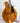 Pava F5 Pro Mandolin- Amber