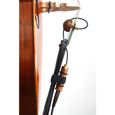ER Trumpet Labs Nadine