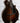 (Used) Northfield 2024 F5S Limited Edition Mandolin - Adirondack