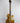 Epiphone Les Paul Standard 50's- Gold Top