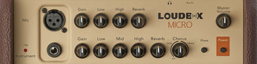 Fishman Loudbox - Micro Acoustic Amplifier