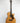 Taylor 614ce