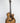 Taylor 314ce - 50th Anniversary Limited Edition