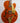 Used) Gretsch G6120T-55 Vintage Select '55 Chet Atkins Hollow Body