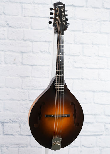 (Used) Collings MT Mandolin