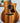 (Used) Eastman AC622CE- Limited Edition Koa